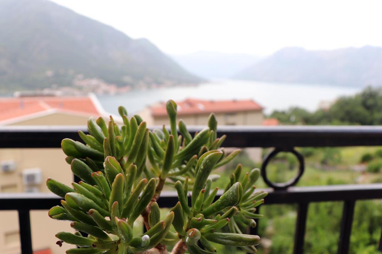 Vista Di Cattaro Apartment Bagian luar foto